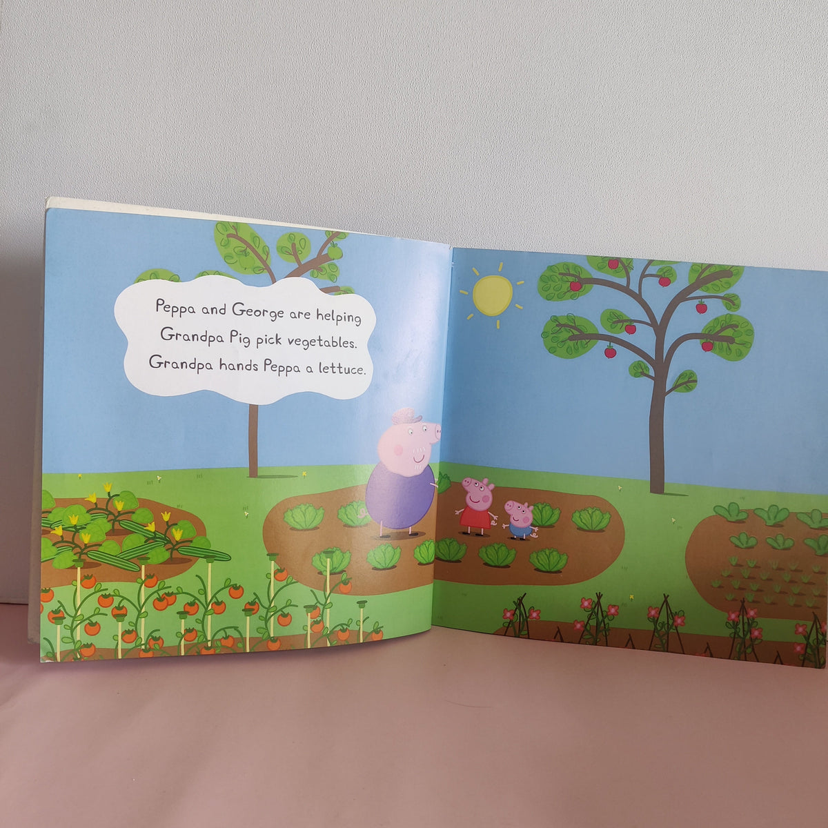 Tiny Creatures - BKLT51887
