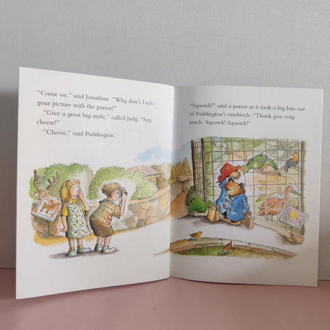Paddington'S Big Suitcase - BKLT51890