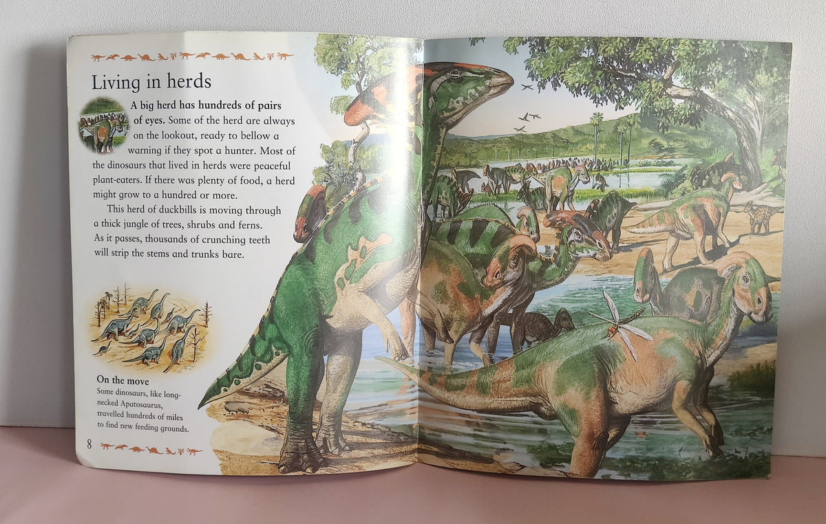 My Best Book Of Dinosaurs - BKLT51904