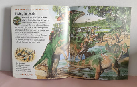 My Best Book Of Dinosaurs - BKLT51904