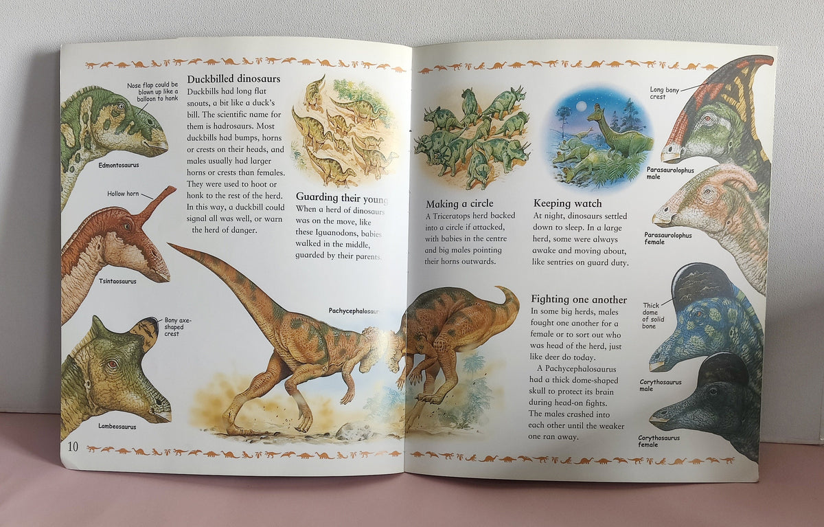 My Best Book Of Dinosaurs - BKLT51904