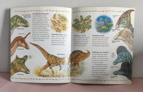 My Best Book Of Dinosaurs - BKLT51904