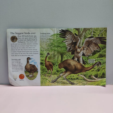 Extinct Animals - BKLT51947