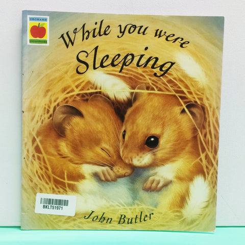 While You Were Sleeping - BKLT51971