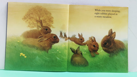 While You Were Sleeping - BKLT51971