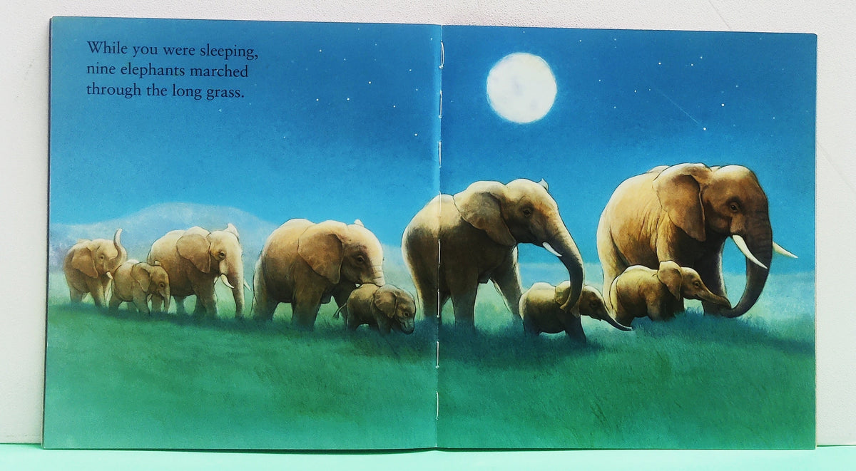 While You Were Sleeping - BKLT51971