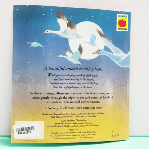 While You Were Sleeping - BKLT51971