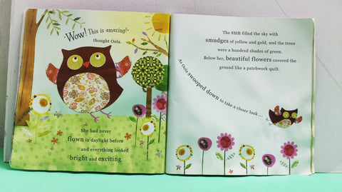 Oola The Owl Who Last Her Hoot - BKLT51976