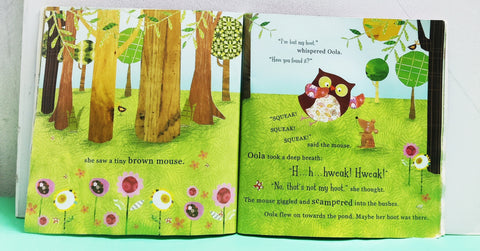 Oola The Owl Who Last Her Hoot - BKLT51976