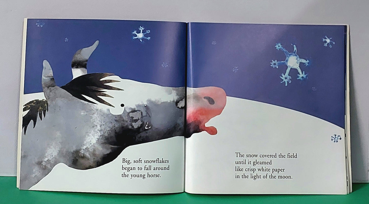 Moonlight And Shadow - BKLT52045