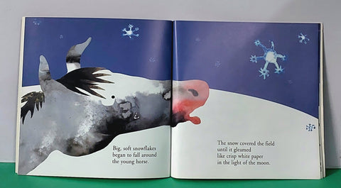Moonlight And Shadow - BKLT52045