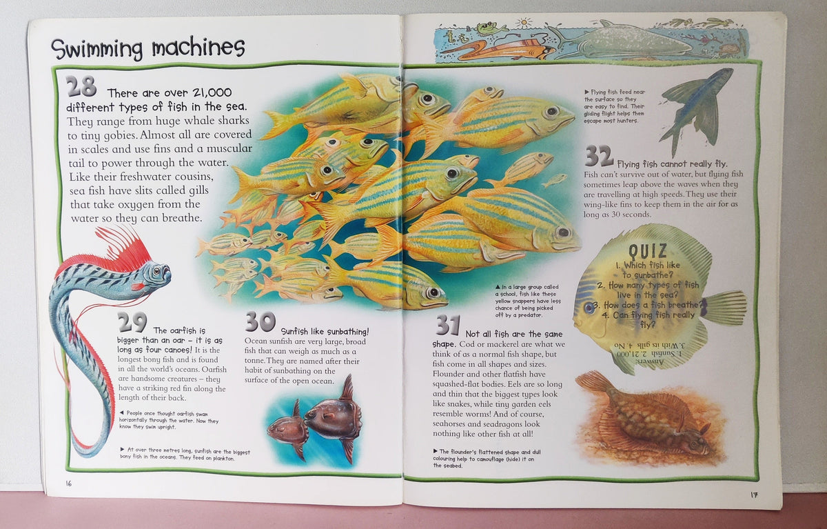 100 Facts An Oceans - BKLT52079