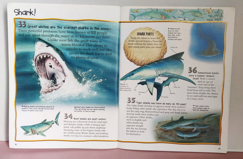 100 Facts An Oceans - BKLT52079