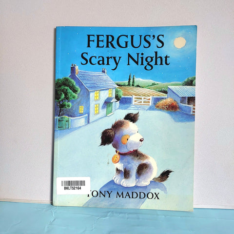 Fergus'S Scary Night - BKLT52164