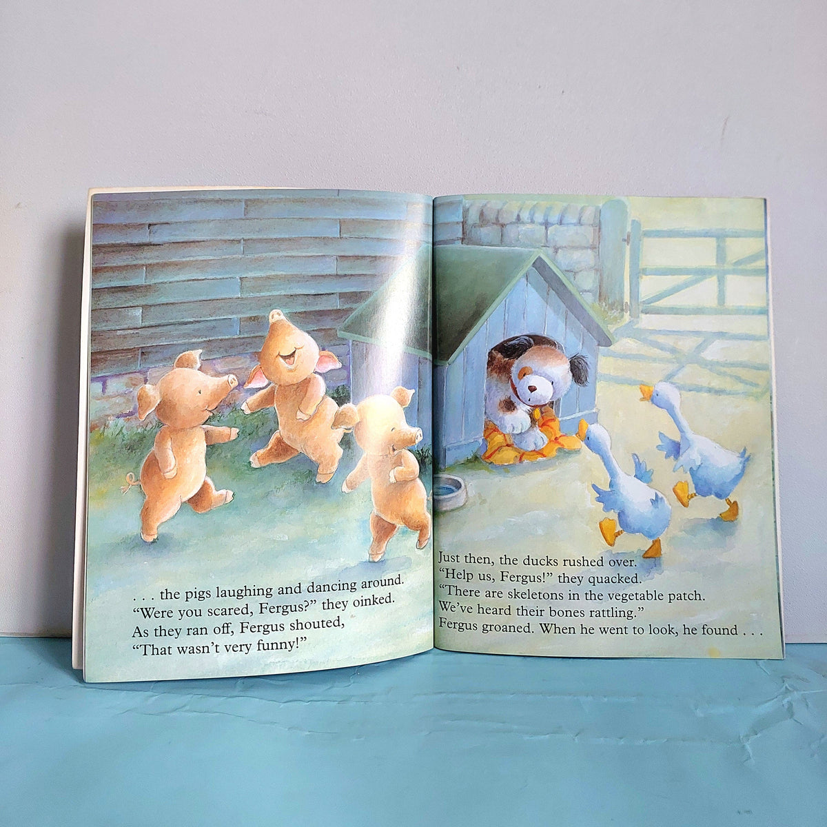 Fergus'S Scary Night - BKLT52164