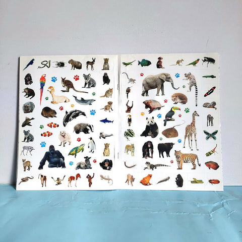Animal Colouring - BKLT52168