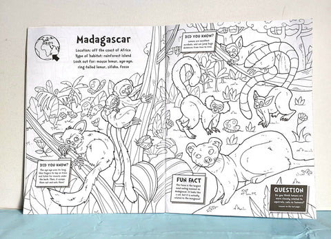 Animal Colouring - BKLT52168