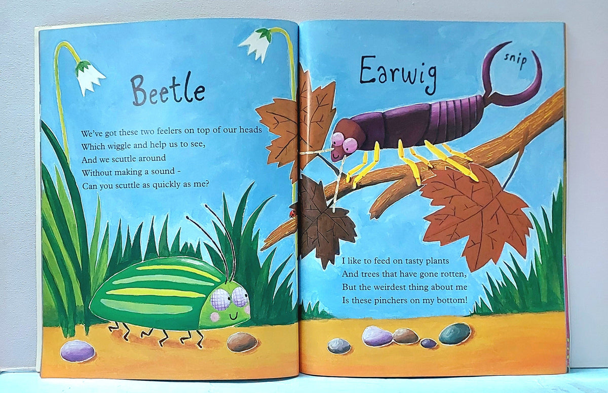 Mad About Minibeasts - BKLT52182