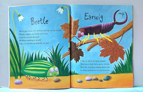 Mad About Minibeasts - BKLT52182