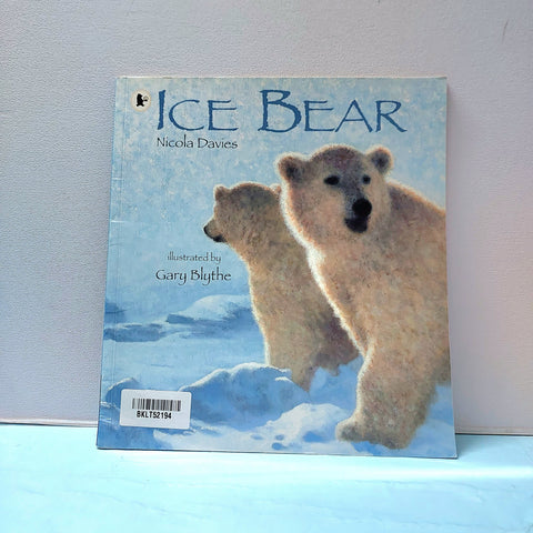 Ice Bear - BKLT52194