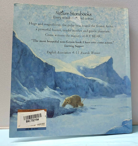 Ice Bear - BKLT52194