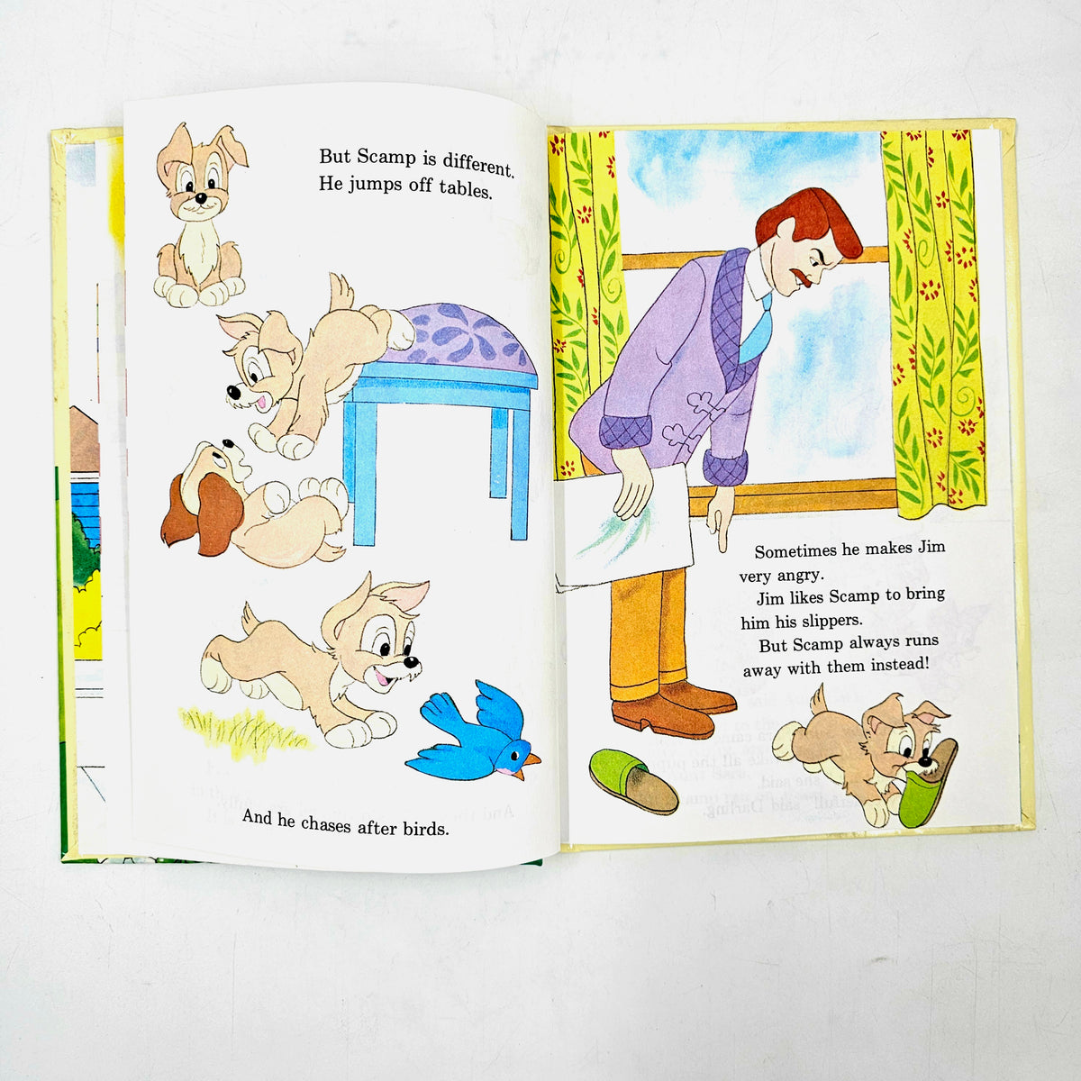 Scamp To The Rescue - BKLT60015