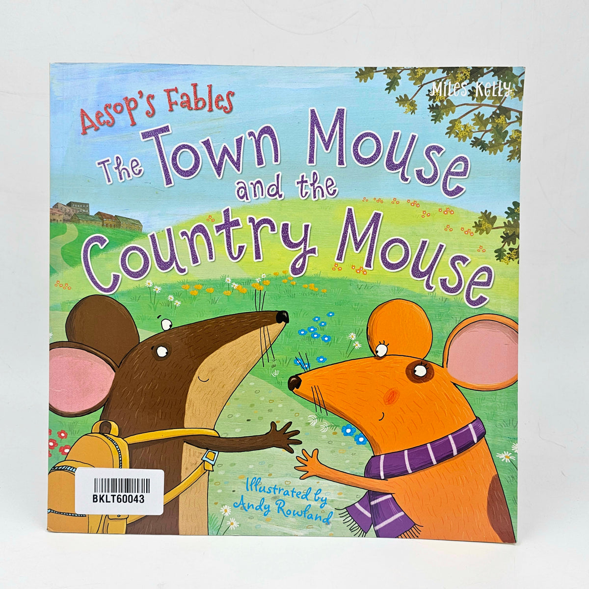 The Town Mouse And The Country Mouse - BKLT60043