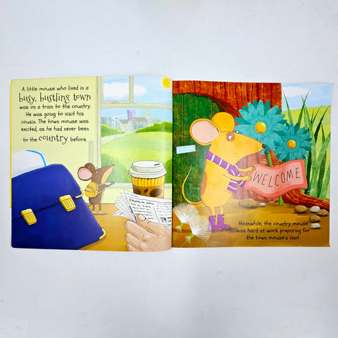 The Town Mouse And The Country Mouse - BKLT60043