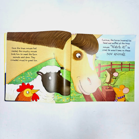 The Town Mouse And The Country Mouse - BKLT60043