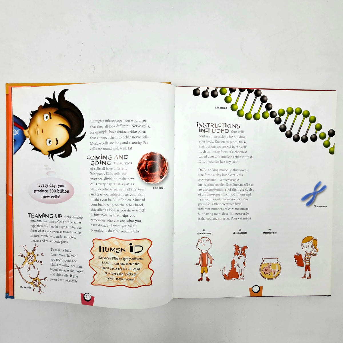 How To Make A Human - BKLT60095