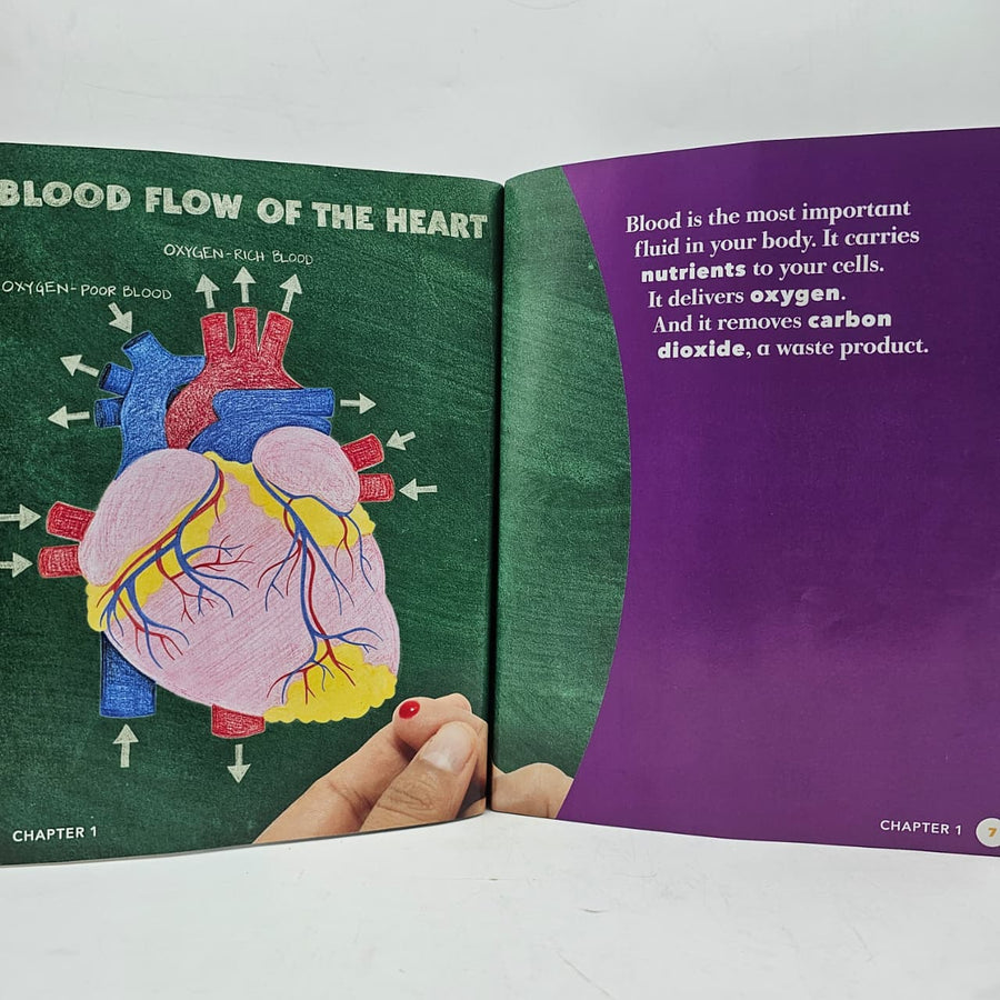 Circulatory System - BKLT60121