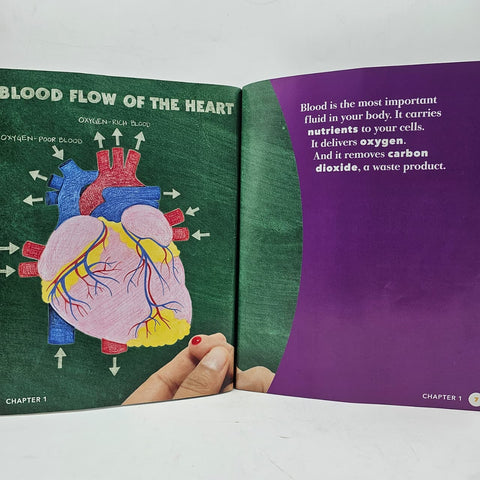 Circulatory System - BKLT60121