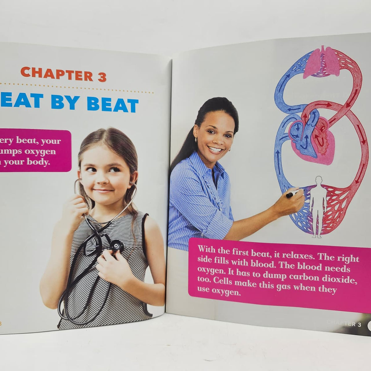 Circulatory System - BKLT60121