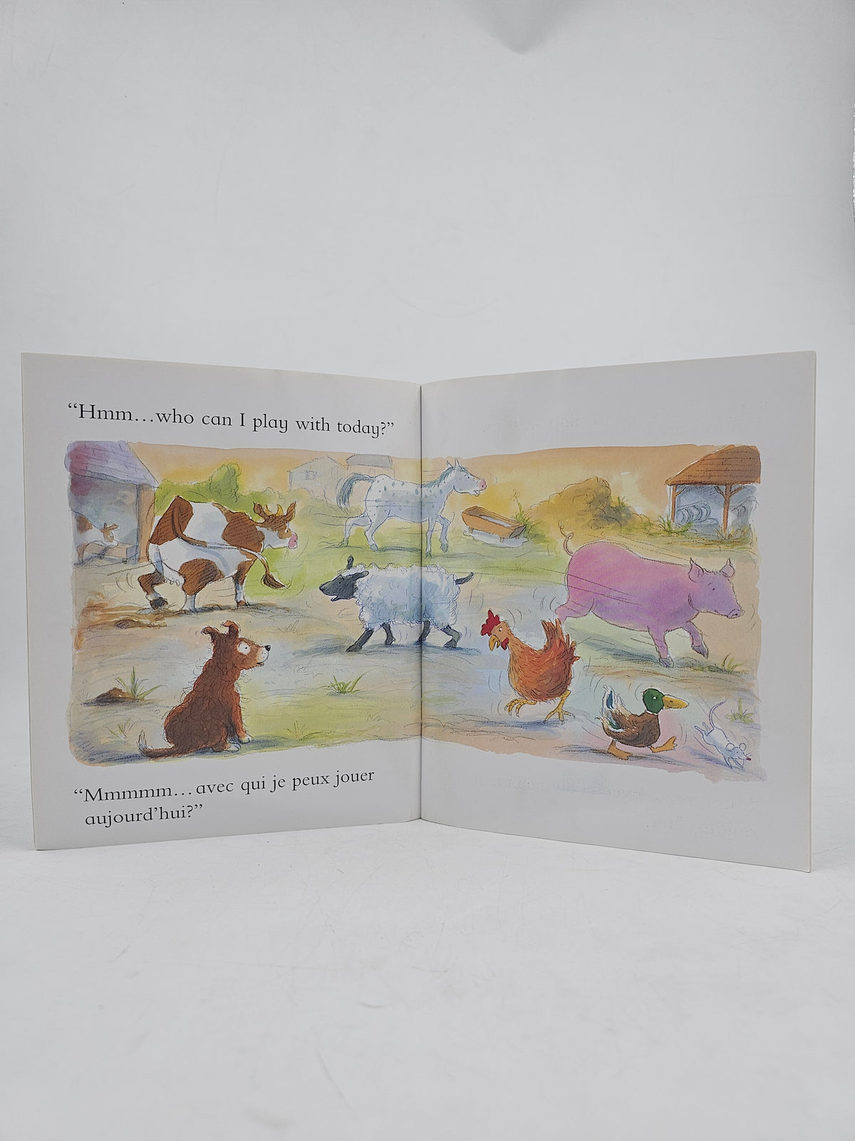Puppy Finds As Friend - BKLT60123
