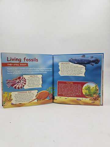Fossils - BKLT60141