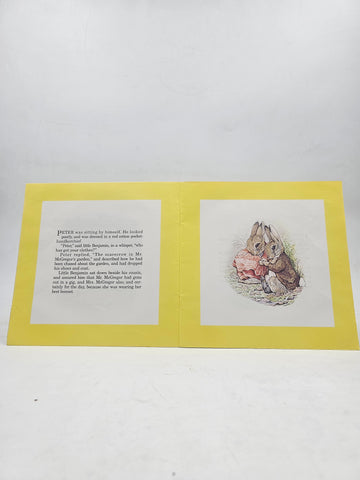 Benjamin Bunny - BKLT60144