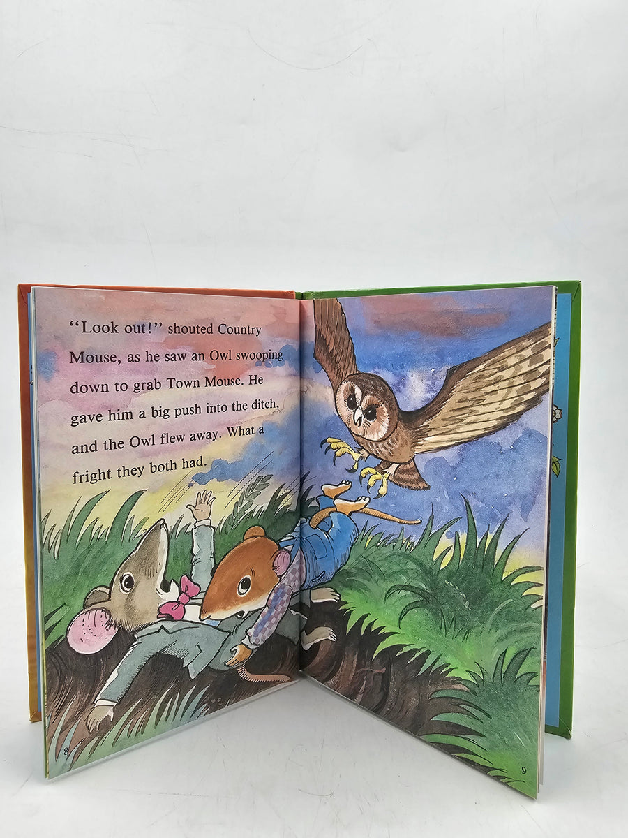 The Town Mouse And The Country Mouse - BKLT60165