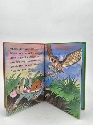 The Town Mouse And The Country Mouse - BKLT60165