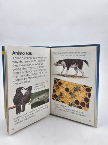 Animals - BKLT60190