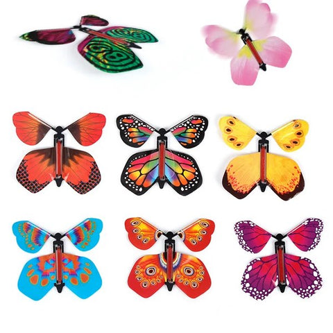 Flying Butterfly For Surprice Gift Pack Of 2 In 1 - EKT3212