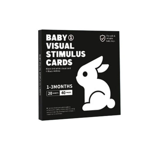 Visual Simuls Flash Cards - EKT3314