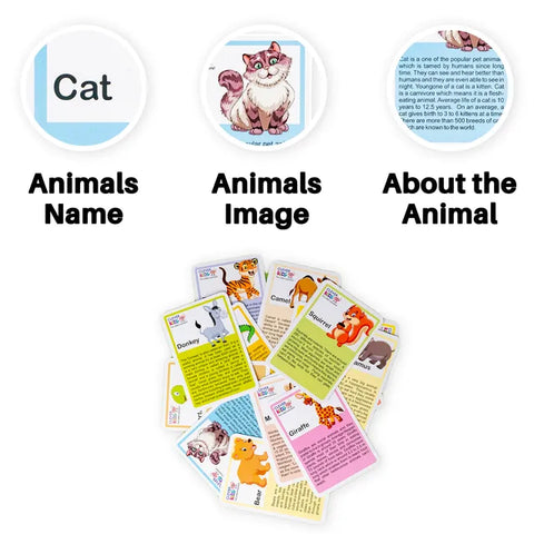 1 Animal Flash Cards Set will be shipped - EKT3629