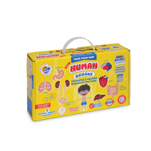 Human Organs Aqua Squish Kit for Kids 100% Safe & Non Toxic - EKT3665