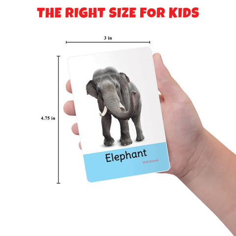 My First Animal Flash Cards | 36 Cards - EKT3736