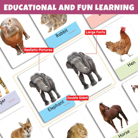 My First Animal Flash Cards | 36 Cards - EKT3736
