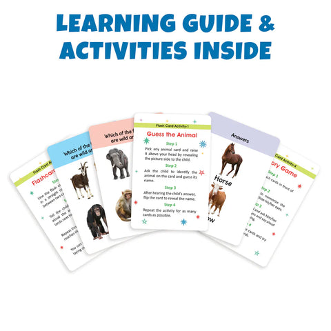 My First Animal Flash Cards | 36 Cards - EKT3736