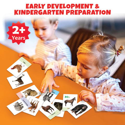 My First Animal Flash Cards | 36 Cards - EKT3736