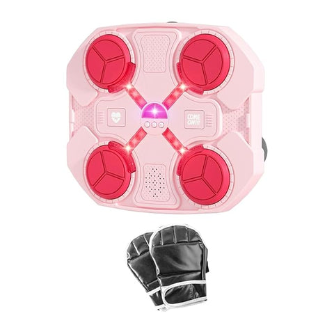Boxing Target With Bluetooth Music - EKT3956