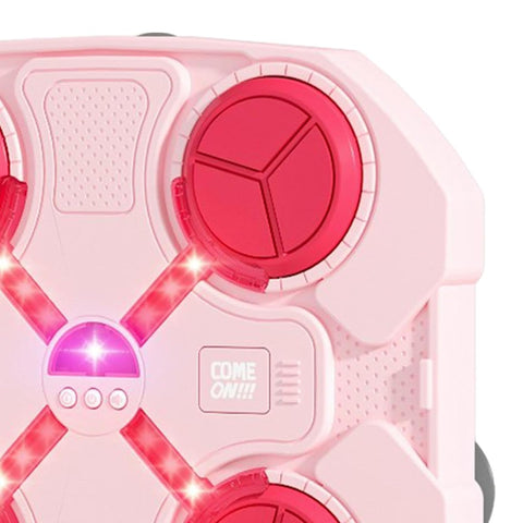 Boxing Target With Bluetooth Music - EKT3956
