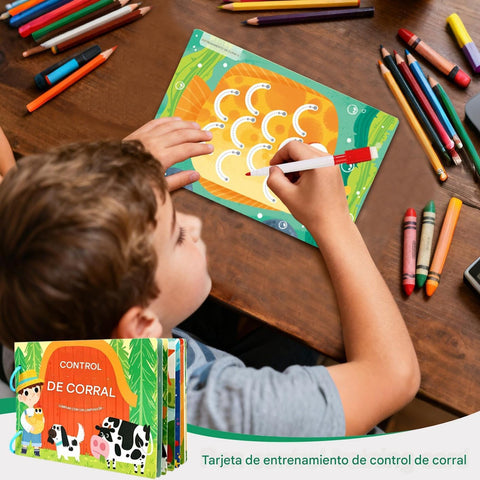 Pen Control Cards Wipe And Clean - EKT3972